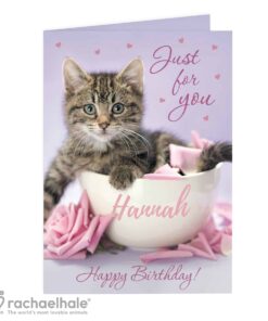 Personalised Rachael Hale 'Just for You' Kitten Card